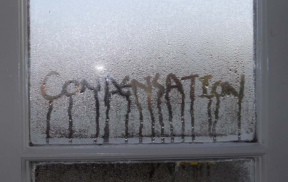 Traveling in Winter: How to Prevent Frost and Condensation on Your Campervan