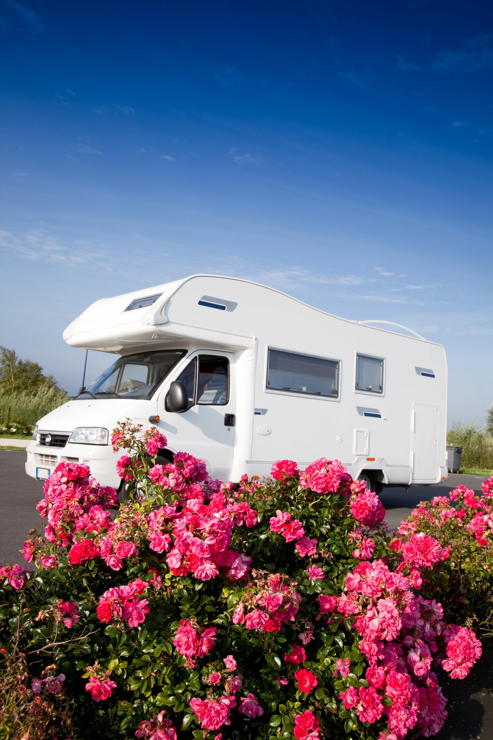 Outdoor Holiday conversion example 8