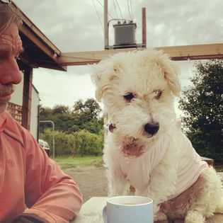 Matt Ellis Joinery conversion example 3