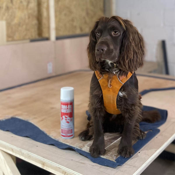 Thames Valley Campers conversion example 3