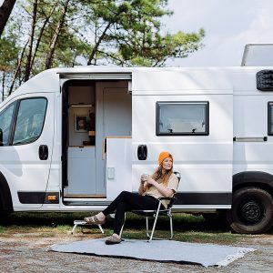 Wildlife Vans conversion example 3